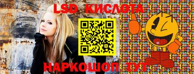 гашик Бузулук
