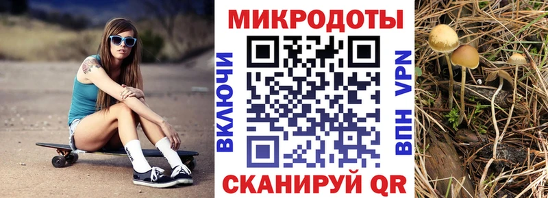 Псилоцибиновые грибы Cubensis  площадка какой сайт  Новошахтинск  продажа наркотиков 