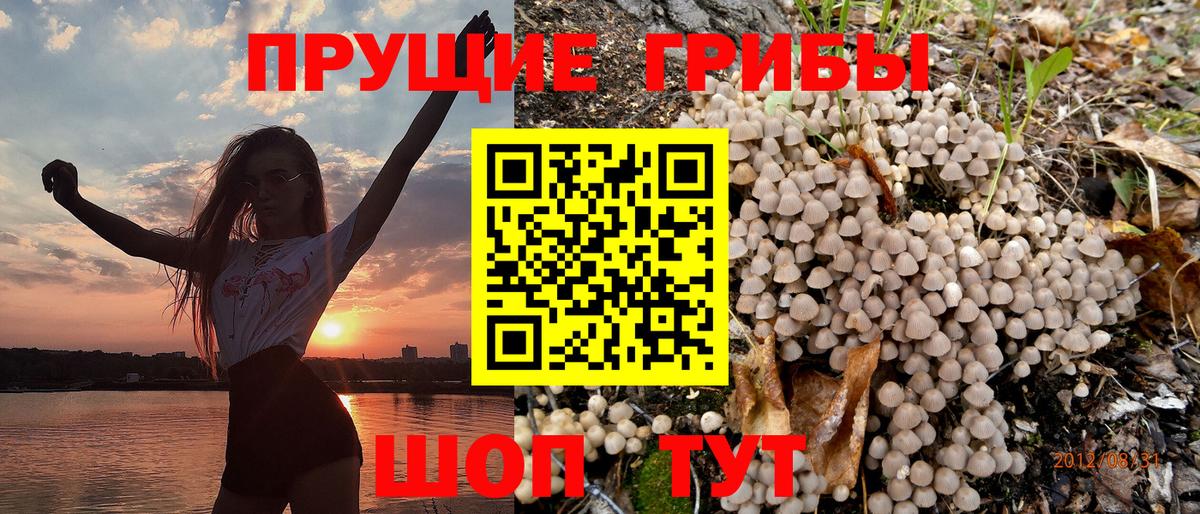 Псилоцибиновые грибы Psilocybe  Вход с VPN  Галлюциногенные грибы MAGIC MUSHROOMS  Новошахтинск 