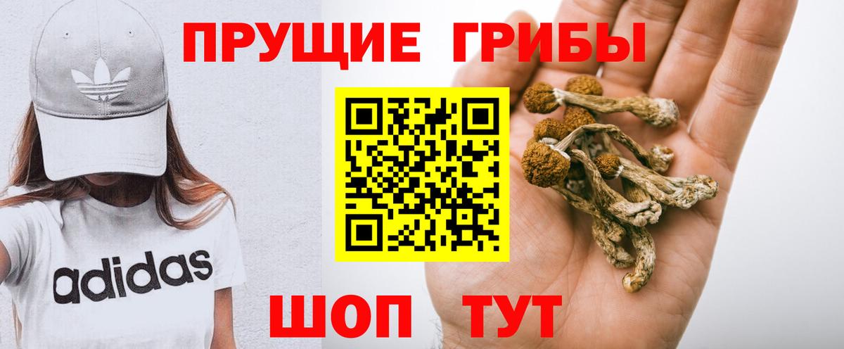 Галлюциногенные грибы мухоморы Новошахтинск